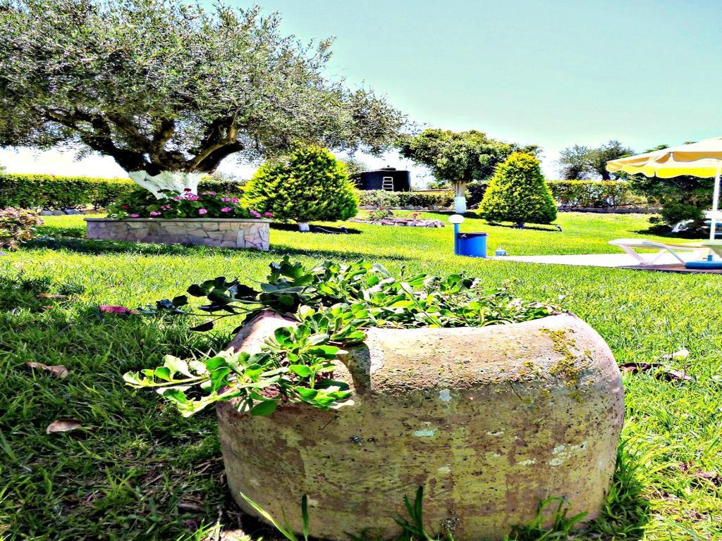 Sunlight Studios Theológos Buitenkant foto